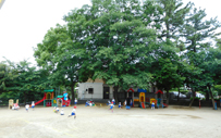 山野幼稚園
