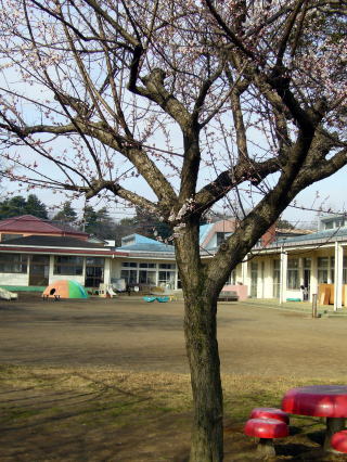関東鉄道常総線 南石下駅にある保育のお仕事求人