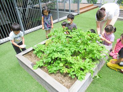 東京都江東区冬木にある、保育のお仕事求人