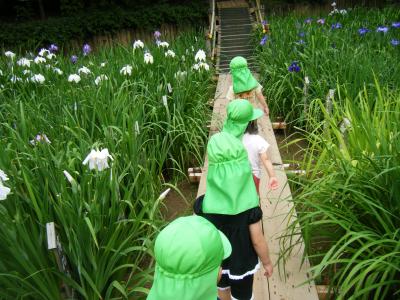 東京都足立区東和3-13-1　トーキョーガーデンスイート 1Fにある、保育のお仕事求人