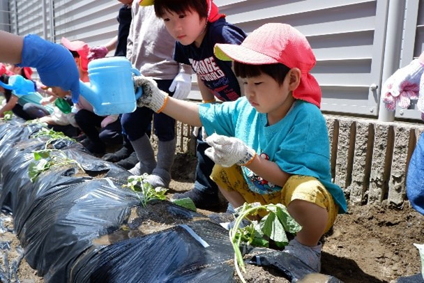 東京都葛飾区にある保育のお仕事求人