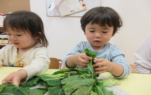 東京都江戸川区にある保育のお仕事求人