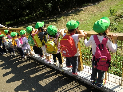 東京都小金井市東町4-31-17にある、保育のお仕事求人