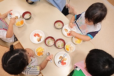 東京都東京都中野区野方６－３８（現状の地番です・住居表示は未定）にある、主任保育士のお仕事求人
