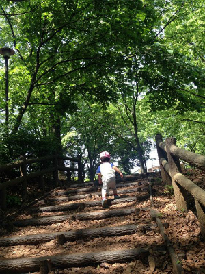 西武池袋線 石神井公園駅にある（保育園）施設長のお仕事求人
