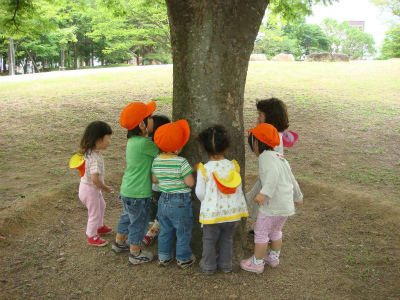 茨城県つくば市にある保育のお仕事求人