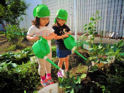 千葉県船橋市山手1-1-11にある、保育のお仕事求人