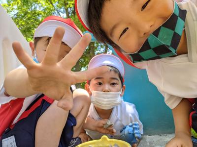 東京都江戸川区清新町1-1-40にある、幼稚園教諭のお仕事求人