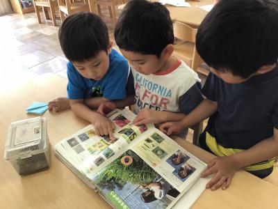 東京都大田区南馬込１－２４－９にある、保育のお仕事求人