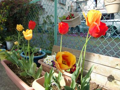 東京都荒川区にある給食調理・栄養士のお仕事求人