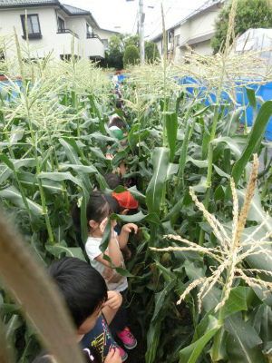 東京都世田谷区にある保育のお仕事求人