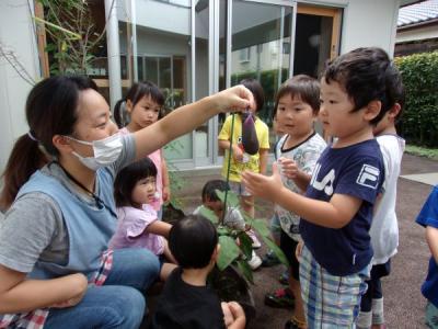 保育のお仕事募集
