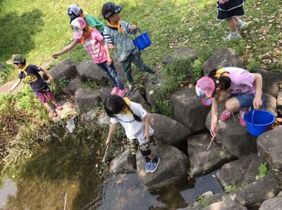 JR常磐線(上野～取手) 金町駅にある学童・児童館のお仕事求人