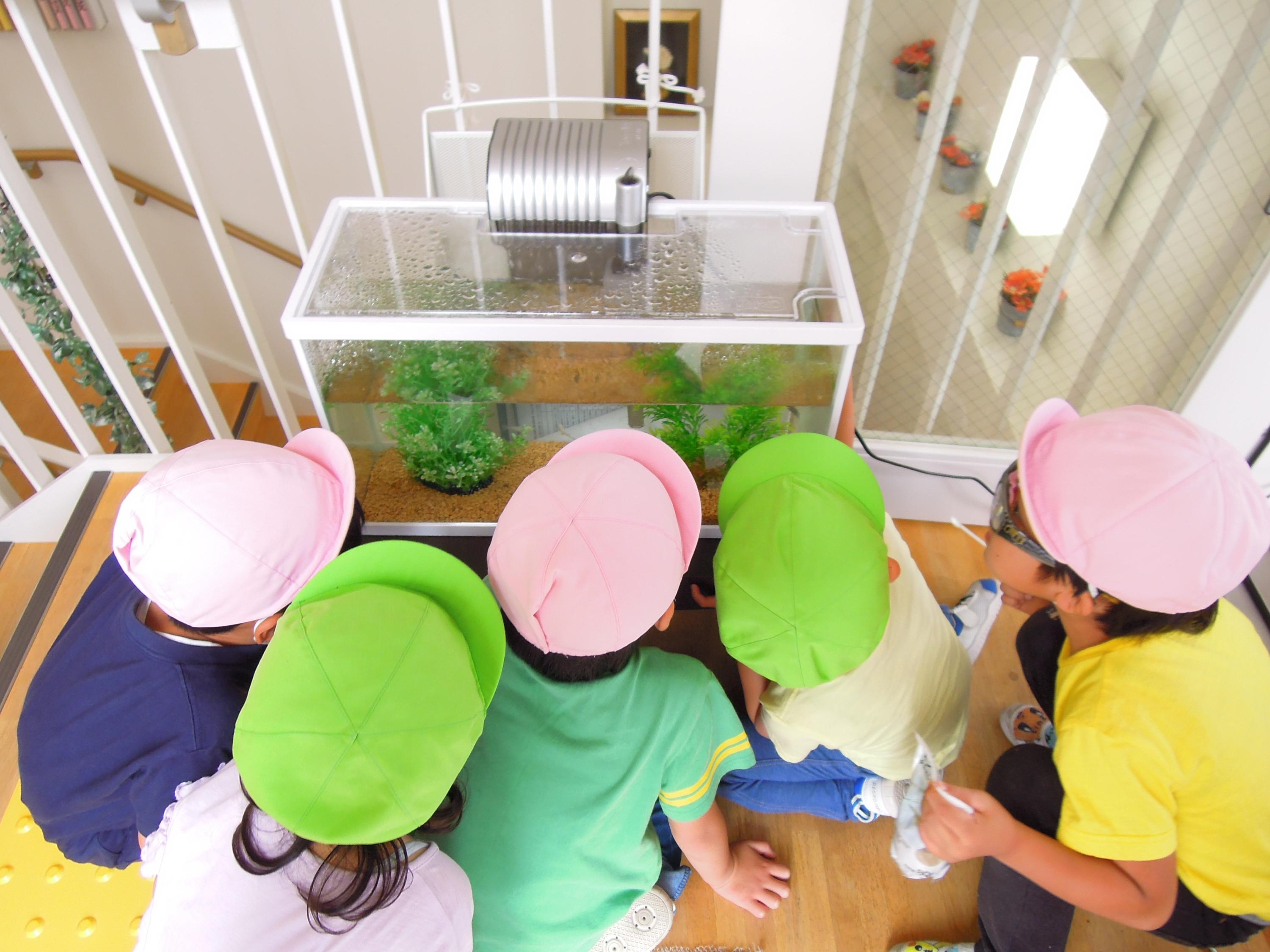 神奈川県横浜市神奈川区にある保育のお仕事求人