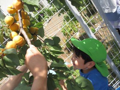 東京都東久留米市幸町１丁目２１番14号にある、保育のお仕事求人