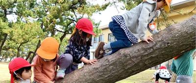 新潟県上越市西本町4-17-6にある、保育のお仕事求人