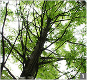 兵庫県西宮市大屋町28番18号にある、幼稚園教諭のお仕事求人