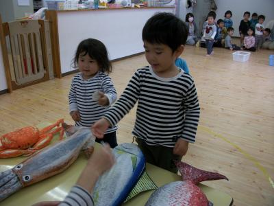 埼玉県和光市新倉1-2-41　ジェラペッシュにある、保育のお仕事求人