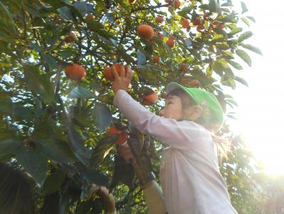 千葉県松戸市六実5-1-1にある、保育のお仕事求人