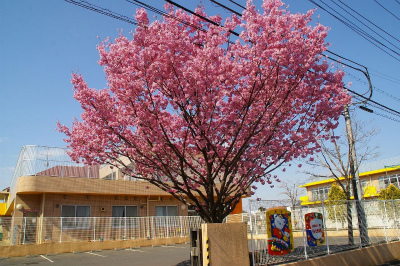 東京都清瀬市にある保育のお仕事求人