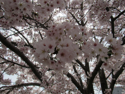 大阪府箕面市にある保育のお仕事求人