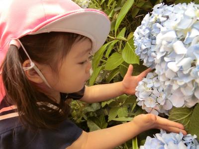 東京都港区芝浦4-17-3 芝浦NAビル3Fにある、保育のお仕事求人