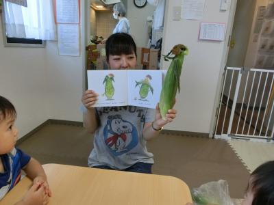 JR根岸線 洋光台駅にある給食調理・栄養士のお仕事求人