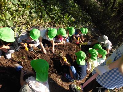 神奈川県川崎市幸区南加瀬３－４－２０にある、（保育園）看護師・准看護師のお仕事求人