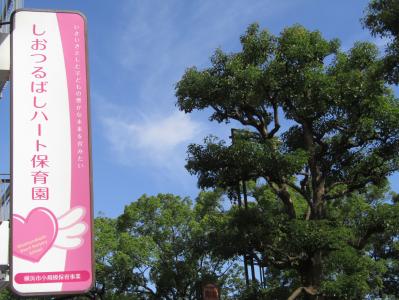 神奈川県横浜市鶴見区鶴見中央4-36-30にある、（保育園）施設長のお仕事求人