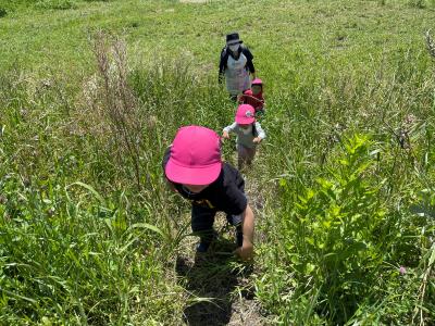 埼玉県朝霞市にある保育のお仕事求人