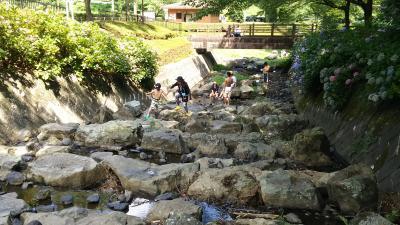 埼玉県坂戸市にある発達支援・児童指導員のお仕事求人