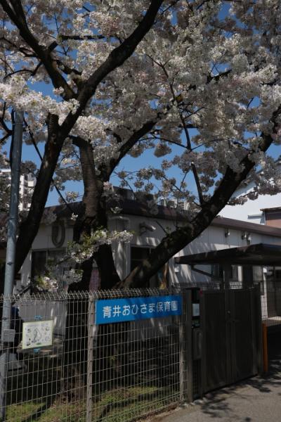 東武伊勢崎線 五反野駅にある保育のお仕事求人
