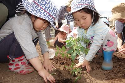 北海道札幌市手稲区前田八条おおぞら幼稚園にある、幼稚園教諭のお仕事求人