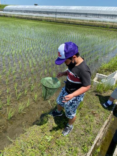 愛知県岡崎市河原町1-17にある、発達支援・児童指導員のお仕事求人