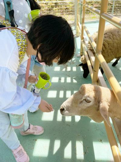 愛知県額田郡幸田町相見字沖原62にある、発達支援・児童指導員のお仕事求人