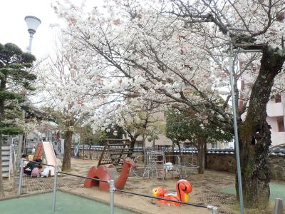 長崎県長崎市鍛冶屋町5-74にある、保育のお仕事求人