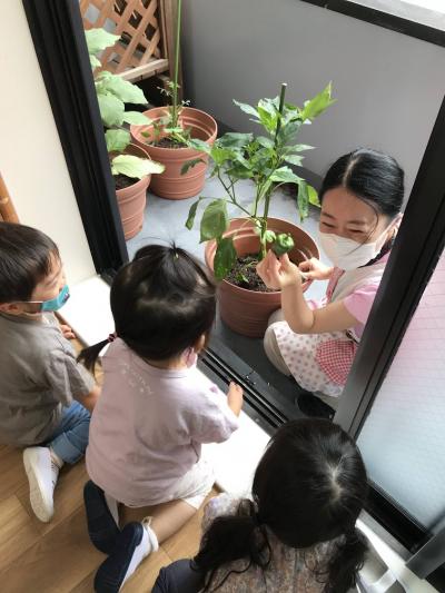 埼玉県さいたま市大宮区にある保育のお仕事求人