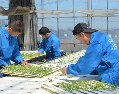 愛知県津島市上新田町2-200にある、発達支援・児童指導員のお仕事求人