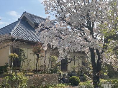 神奈川県横浜市都筑区にある発達支援・児童指導員のお仕事求人