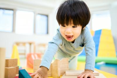神奈川県藤沢市辻堂神台2-2-2　ココテラス湘南にある、児童発達支援管理責任者のお仕事求人