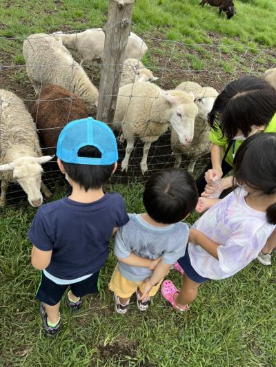 神奈川県厚木市妻田南1-23-19イーストコムーネN2Fにある、発達支援・児童指導員のお仕事求人