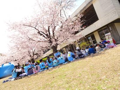 正社員募集