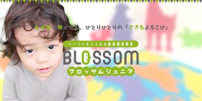 沖縄県那覇市鏡原町10-20にある、発達支援・児童指導員のお仕事求人