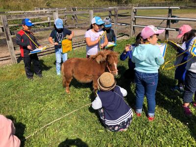 静岡県袋井市春岡４７２にある、発達支援・児童指導員のお仕事求人