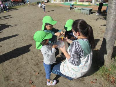 埼玉県さいたま市西区にある保育のお仕事求人