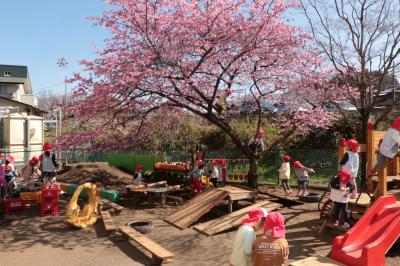 埼玉県入間市にある保育のお仕事求人