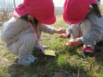 神奈川県厚木市にある保育のお仕事求人