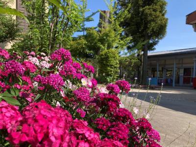 兵庫県西宮市名塩1-20-15にある、保育のお仕事求人