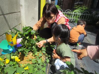 大阪府大阪市東淀川区上新庄2-11-20-102にある、保育のお仕事求人