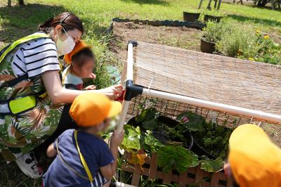 埼玉県さいたま市中央区にある保育のお仕事求人